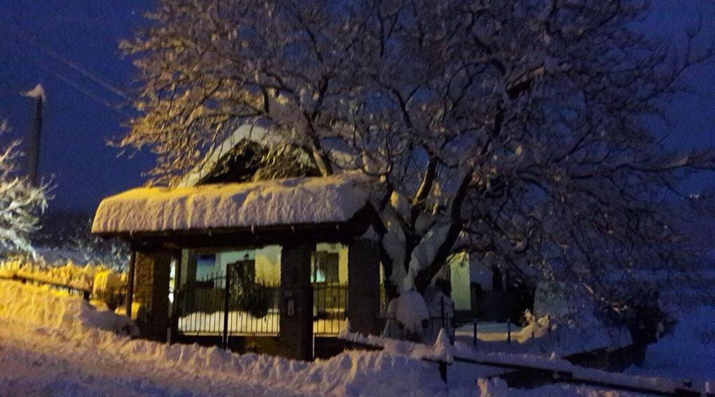 A Casa Da Elide Hotel Aymavilles Bagian luar foto